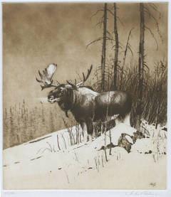 Canada Moose