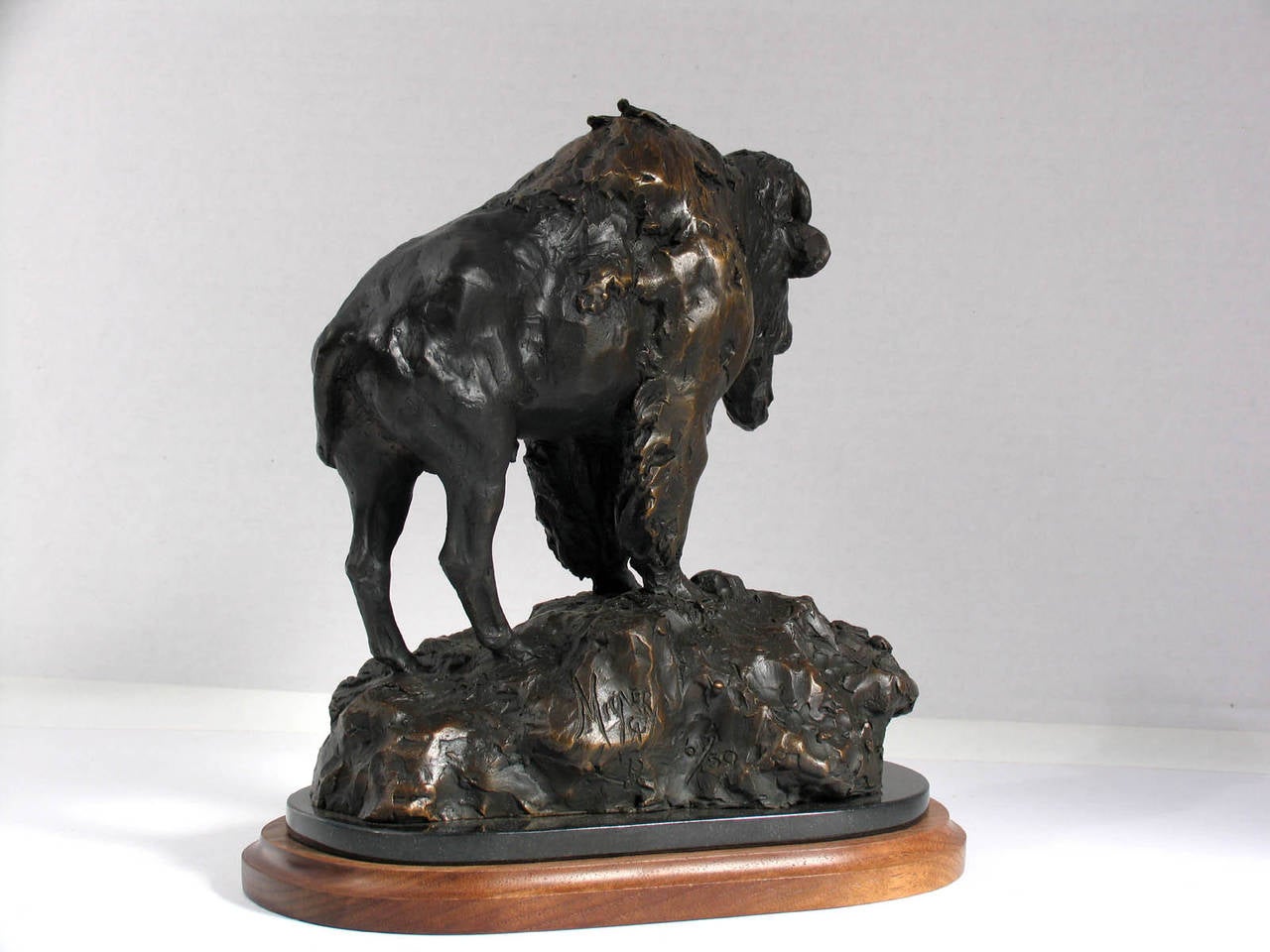 His Destiny Foretold