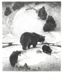 The Mountain Mother: Black Bear and Cubs