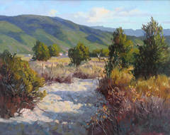 Arroyo Shadows (Taos)