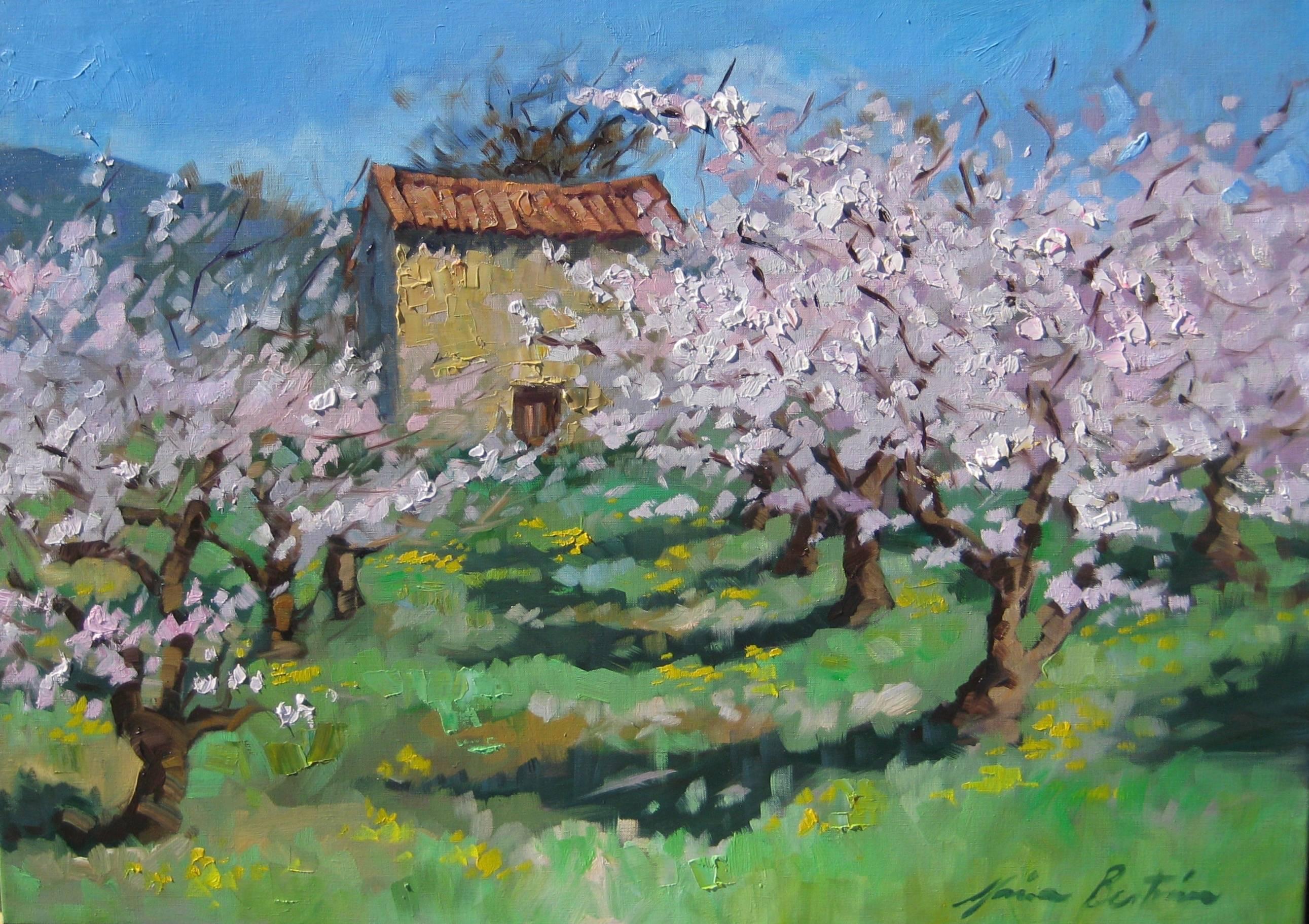 Maria Bertan Landscape Painting - Contemporary Impressionist Oil Painting Of Apricot Blossoms in Provence