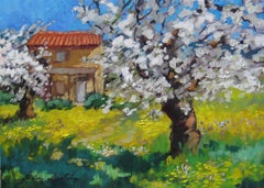 "Garden In Petite Clements" Contemporary Impressionist Oil Painting In Provence