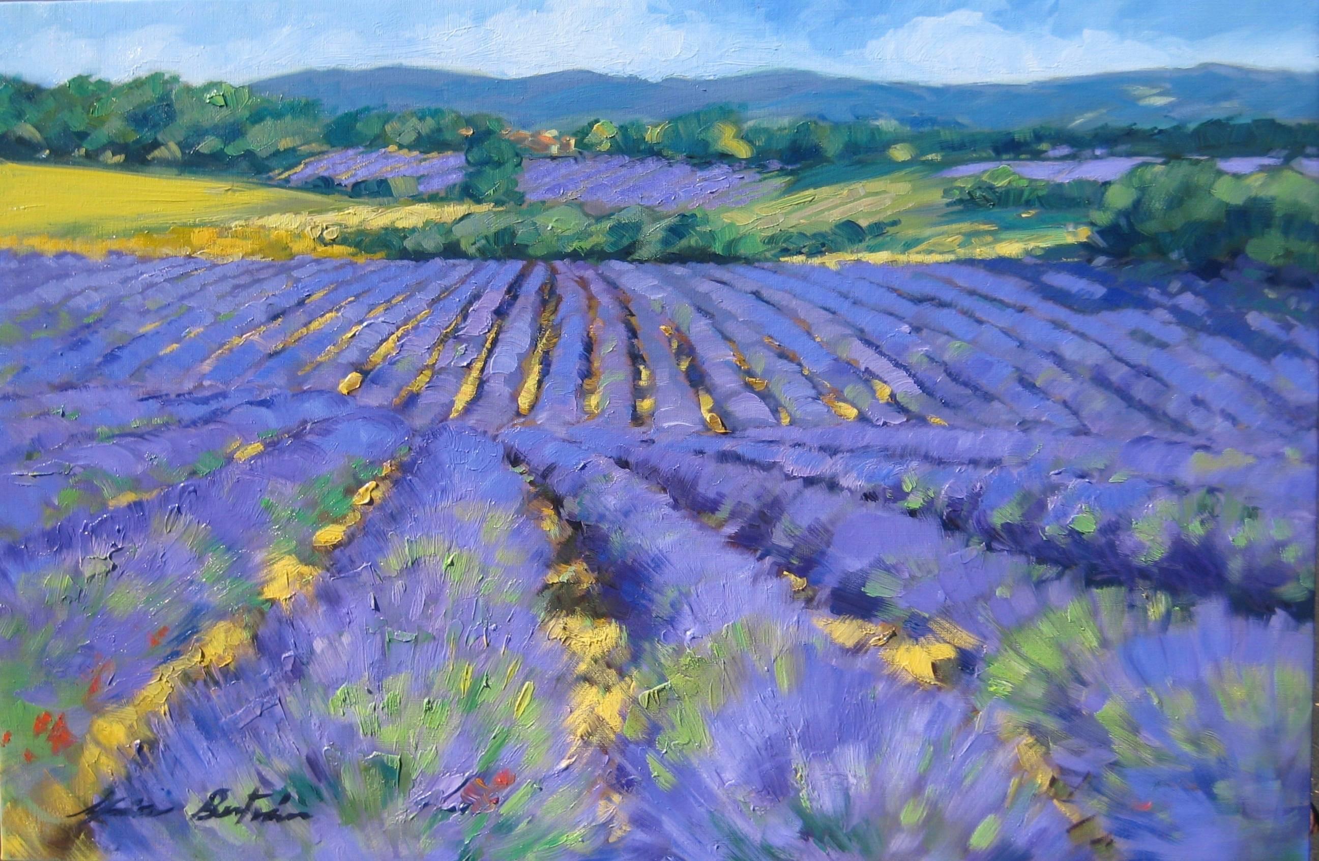 Maria Bertrán Landscape Painting - "Lavender Horizon " Impressionist Oil Painting Of Provence by Maria Bertran