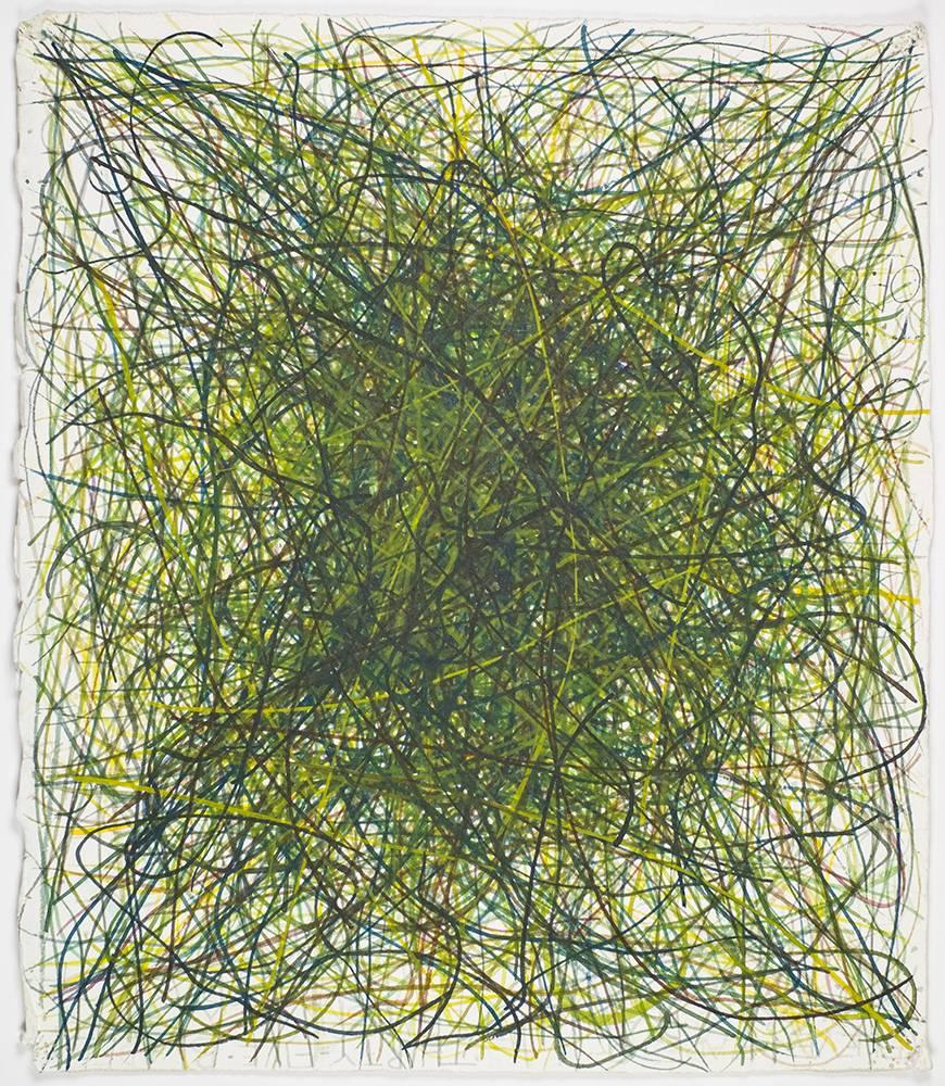 Sanda Iliescu Abstract Drawing - Arba Verde:  Grass paintings