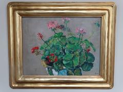 Red and Pink Geraniums