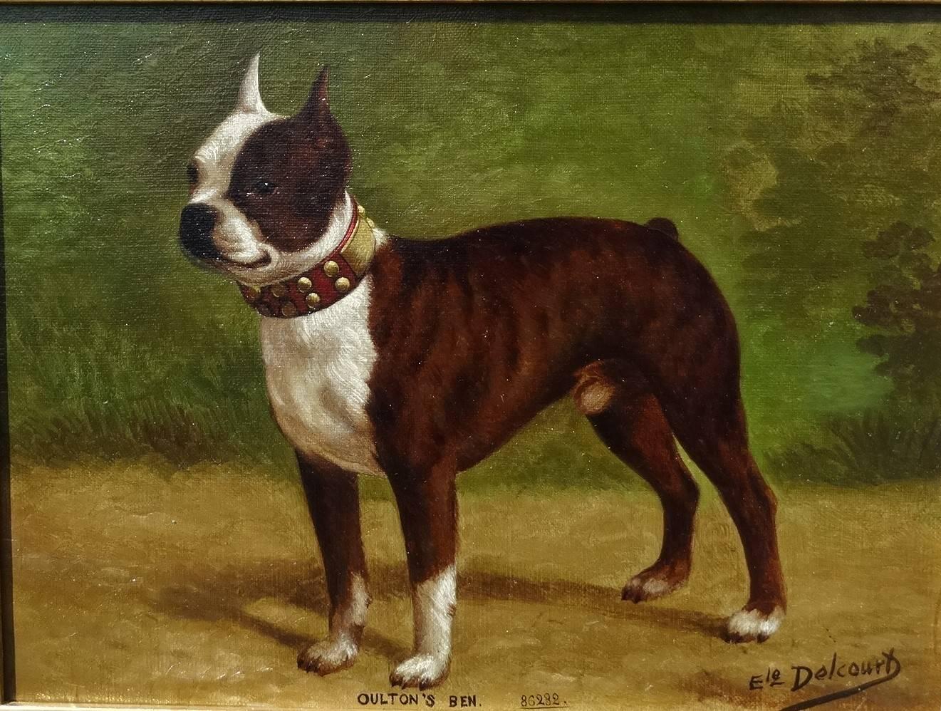 E. Delcourt Animal Painting - "American Staffordshire Bull Terrier"