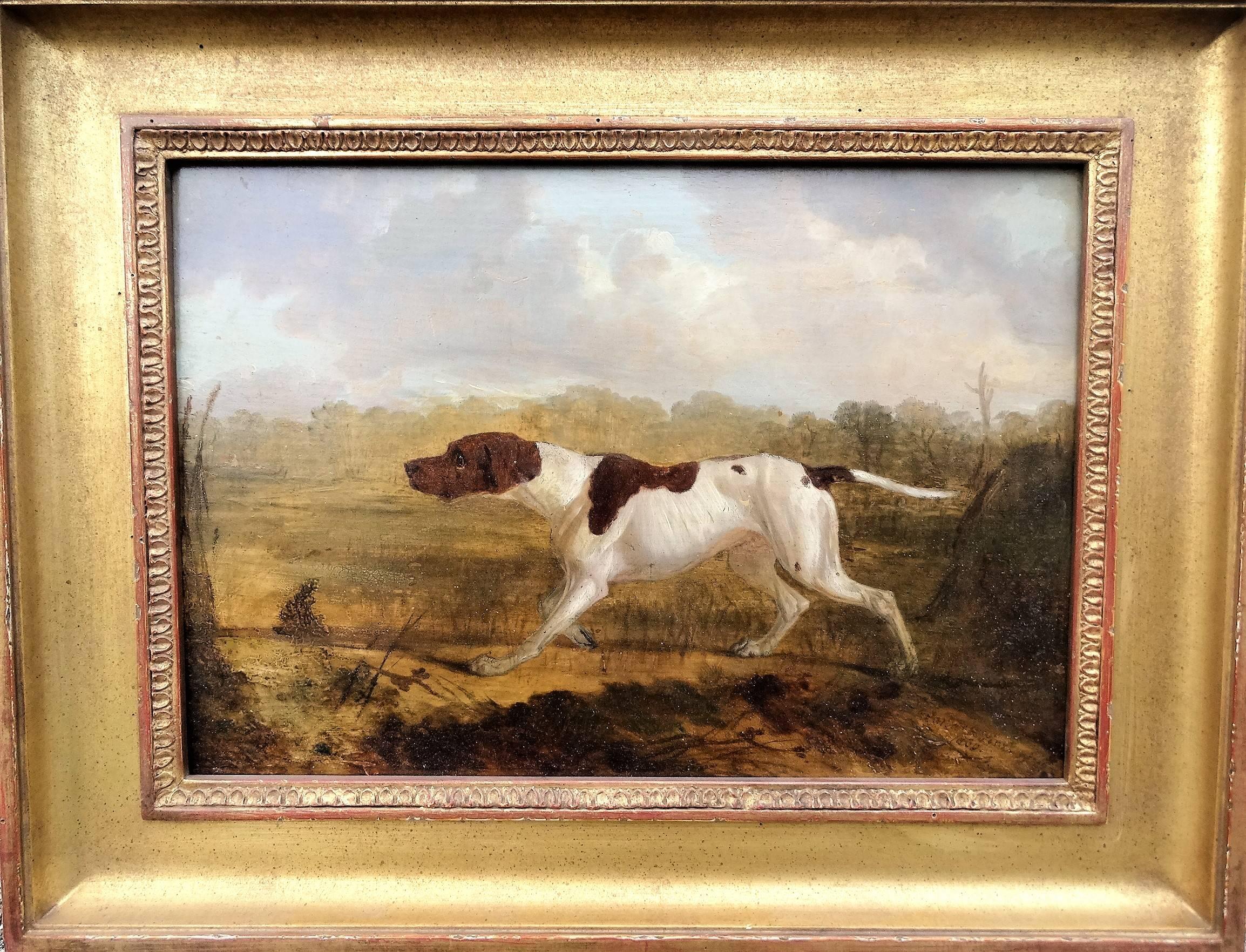 Charles hancock Animal Painting - Hunting Dog on Point 