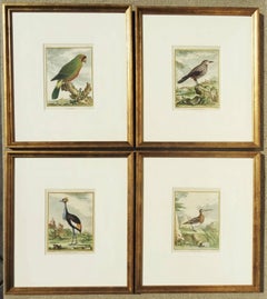 "Birds in Landscape"