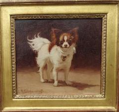 Antique "Long-haired Chihuahua"