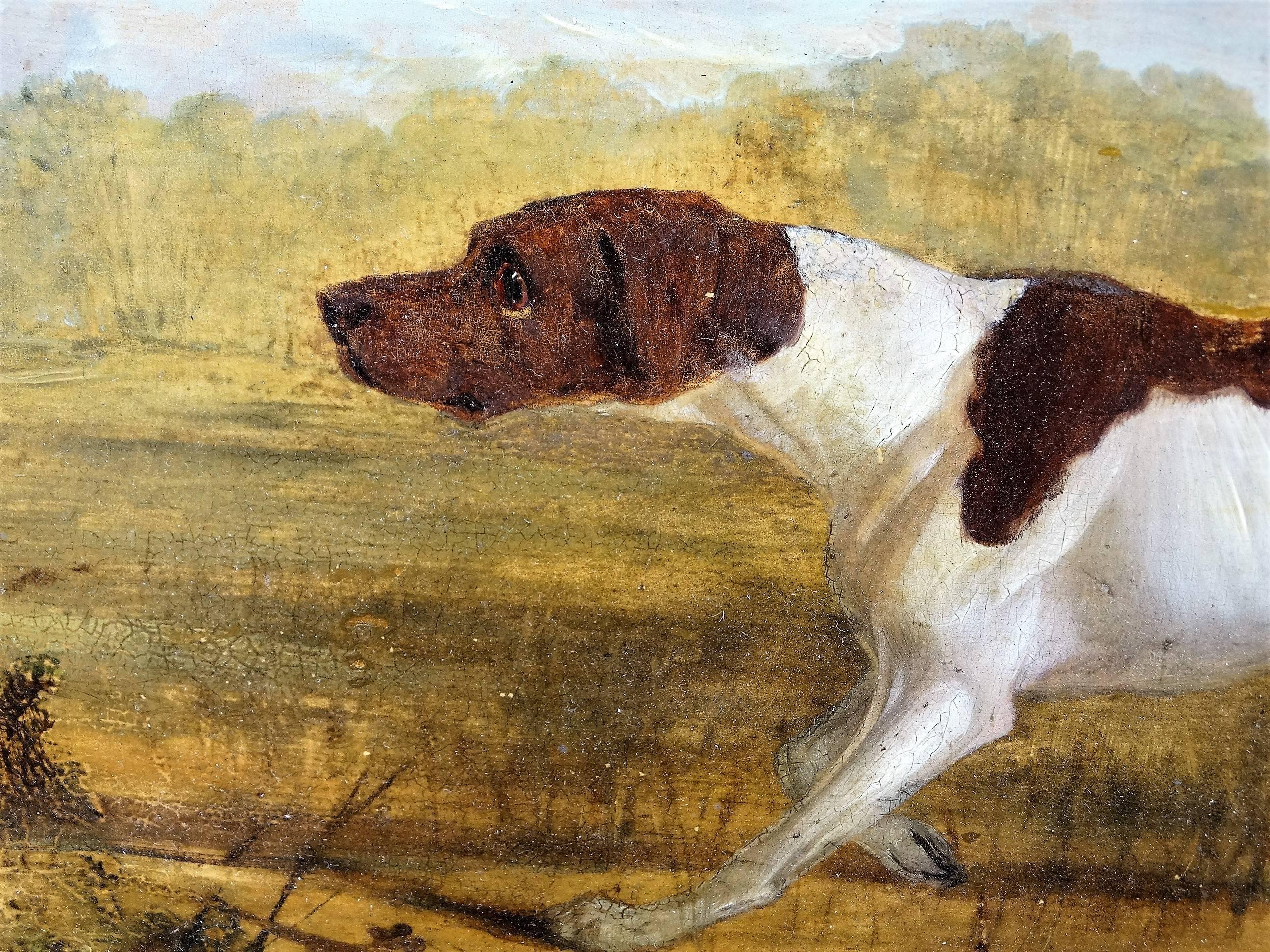 Hunting Dog on Point  - Realist Painting by Charles hancock