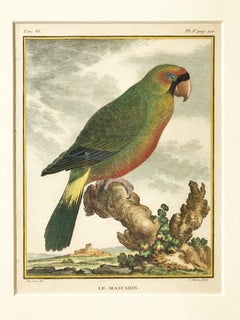 "Birds in Landscape"