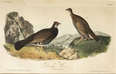 "Grouse in Landscape"