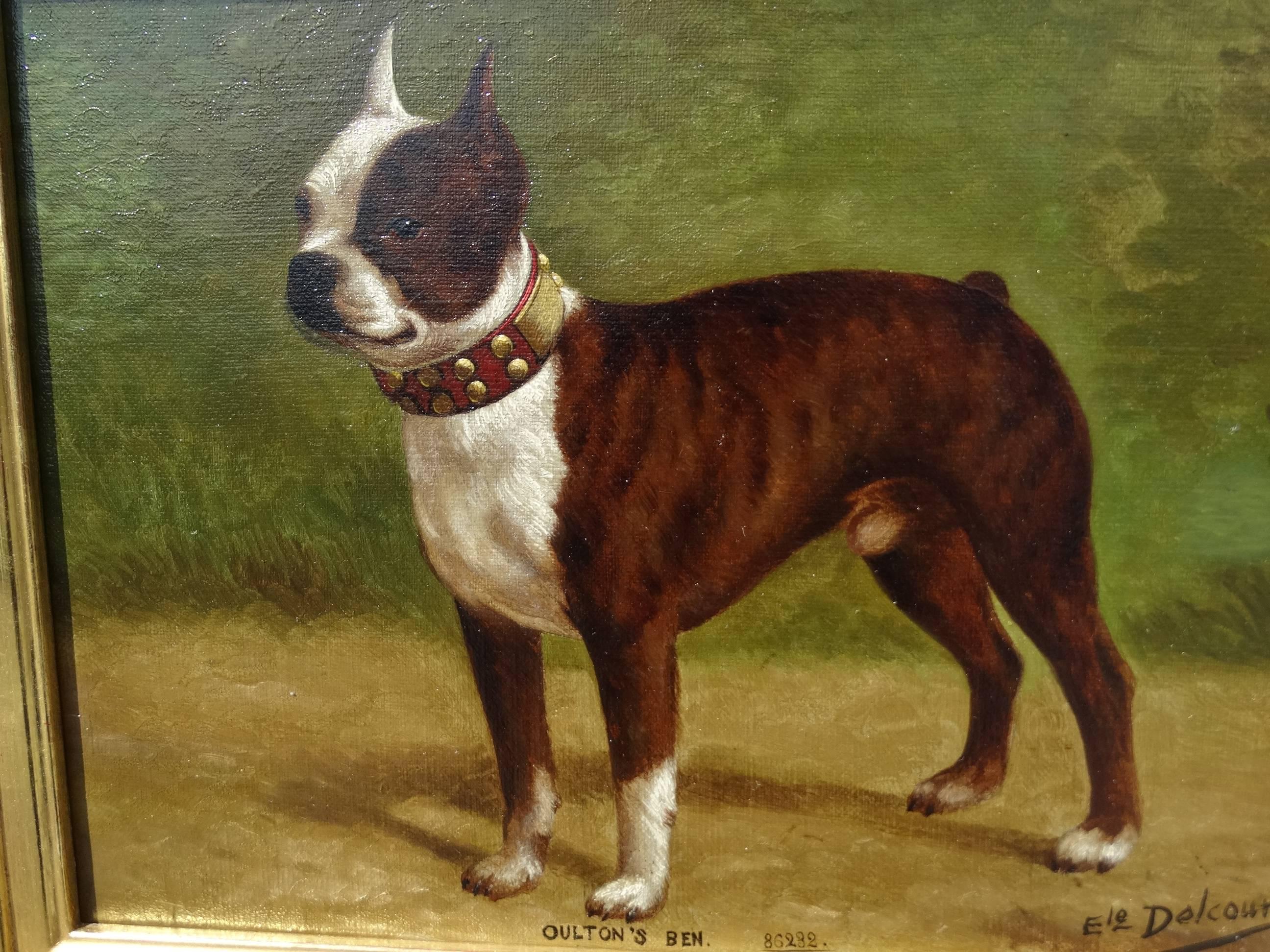 bull terrier 1910