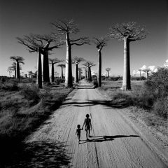 Retro Allée des Baobabs, Madagascar