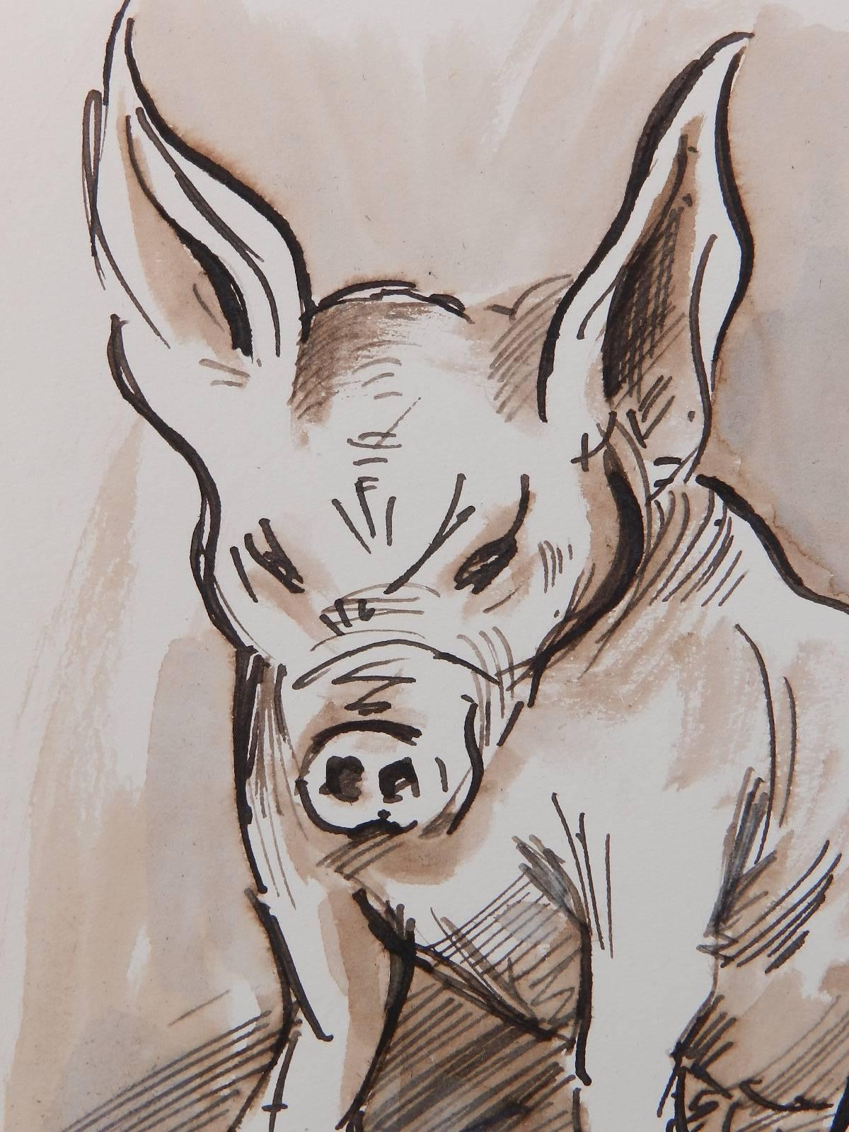 Study Sketches of Pigs by Peter Hobbs, 1930-1994 Sepia tone Watercolor  6