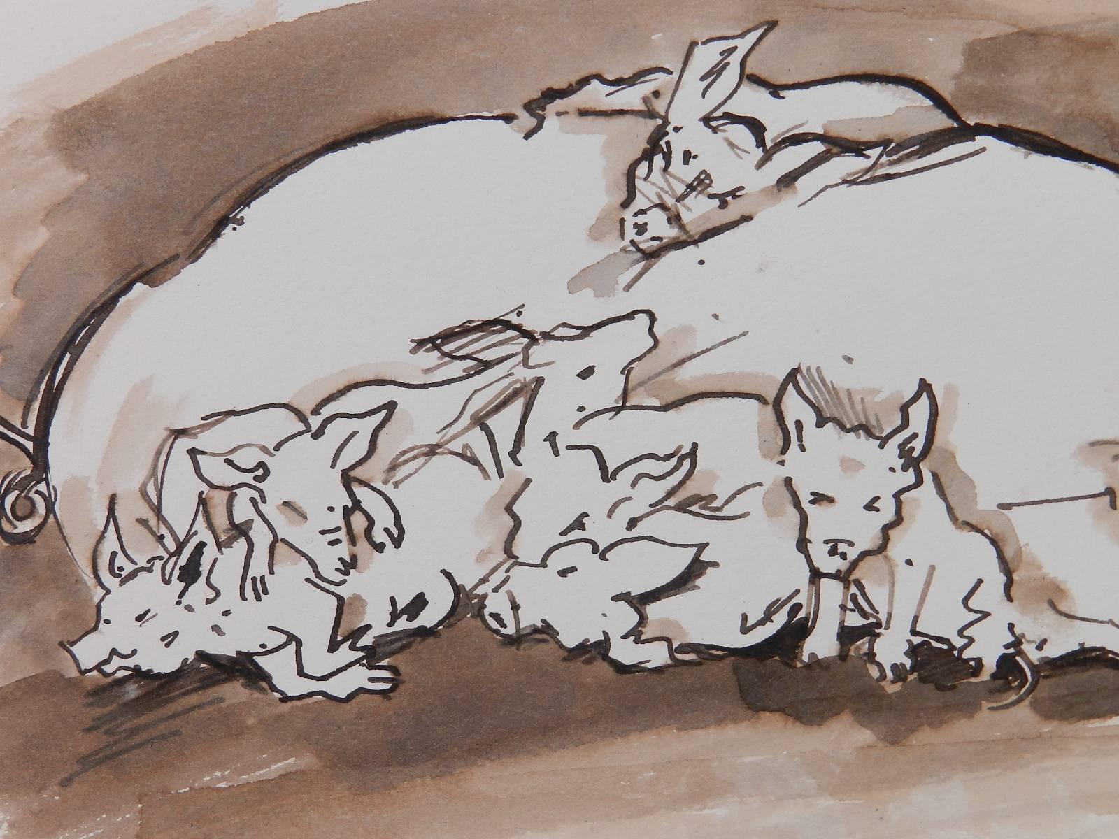 Study Sketches of Pigs by Peter Hobbs, 1930-1994 Sepia tone Watercolor  4