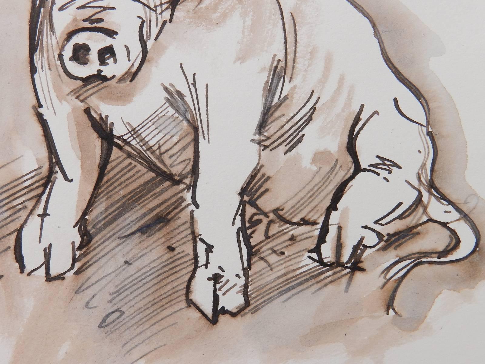 Study Sketches of Pigs by Peter Hobbs, 1930-1994 Sepia tone Watercolor  7