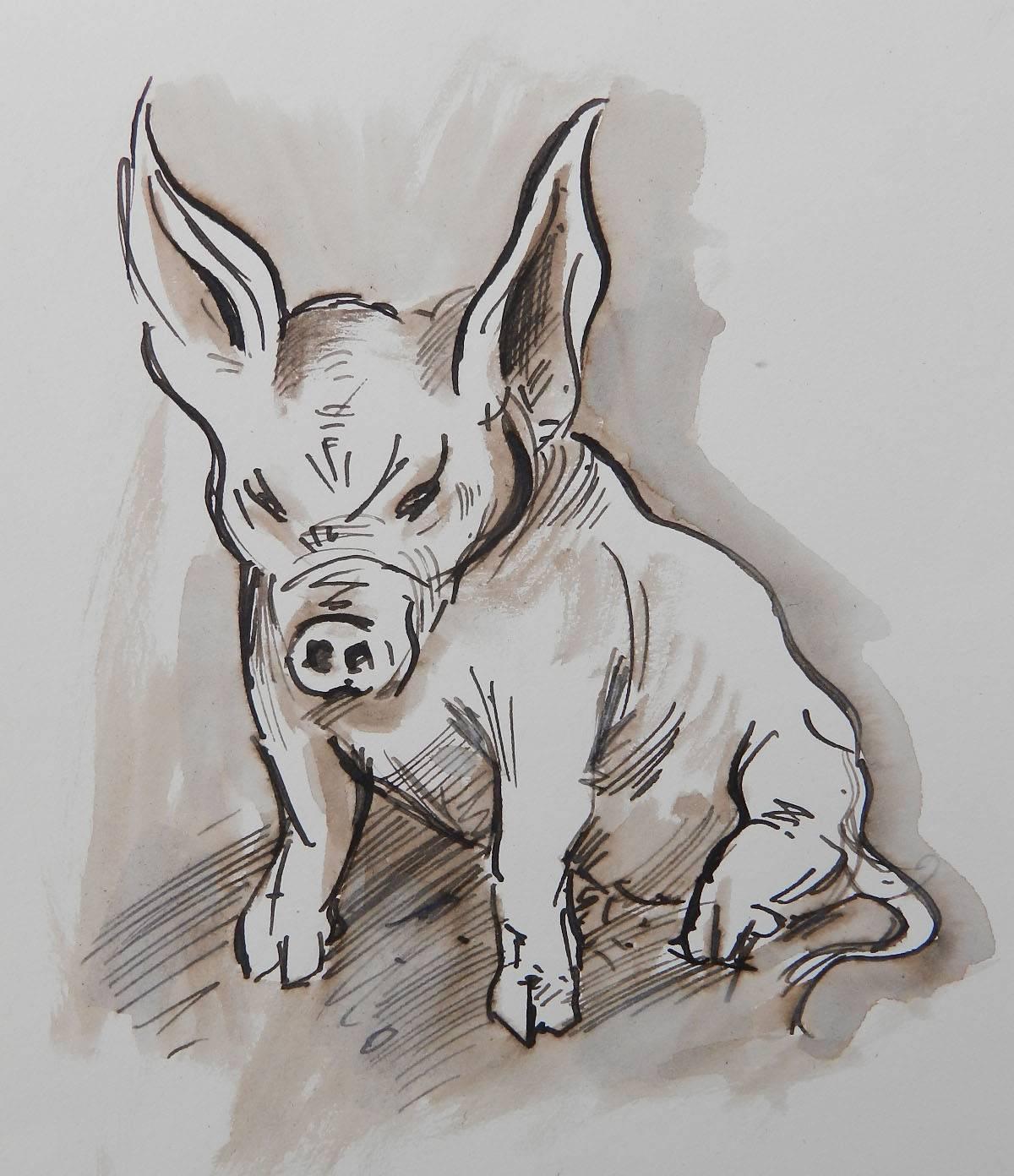 Study Sketches of Pigs by Peter Hobbs, 1930-1994 Sepia tone Watercolor  3