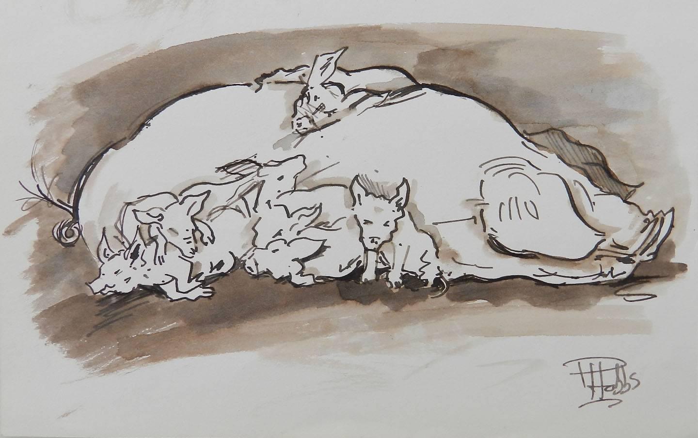 Study Sketches of Pigs by Peter Hobbs, 1930-1994 Sepia tone Watercolor  2