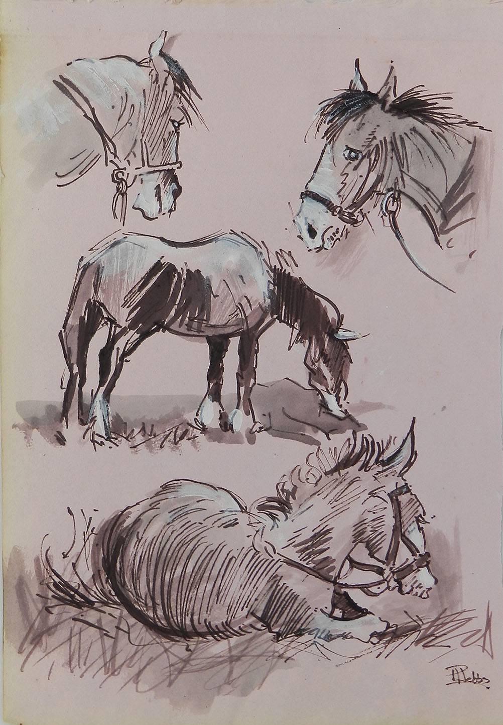 Study Sketches of Horses by Peter Hobbs, 1930-1994 Sepia tone Watercolor 