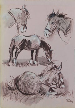 Study Sketches of Horses by Peter Hobbs, 1930-1994 Sepia tone Watercolor