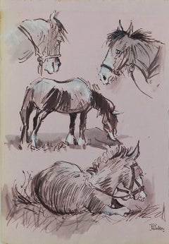 Sketches d'étude de chevaux de Peter Hobbs, 1930-1994, aquarelle couleur sépia 