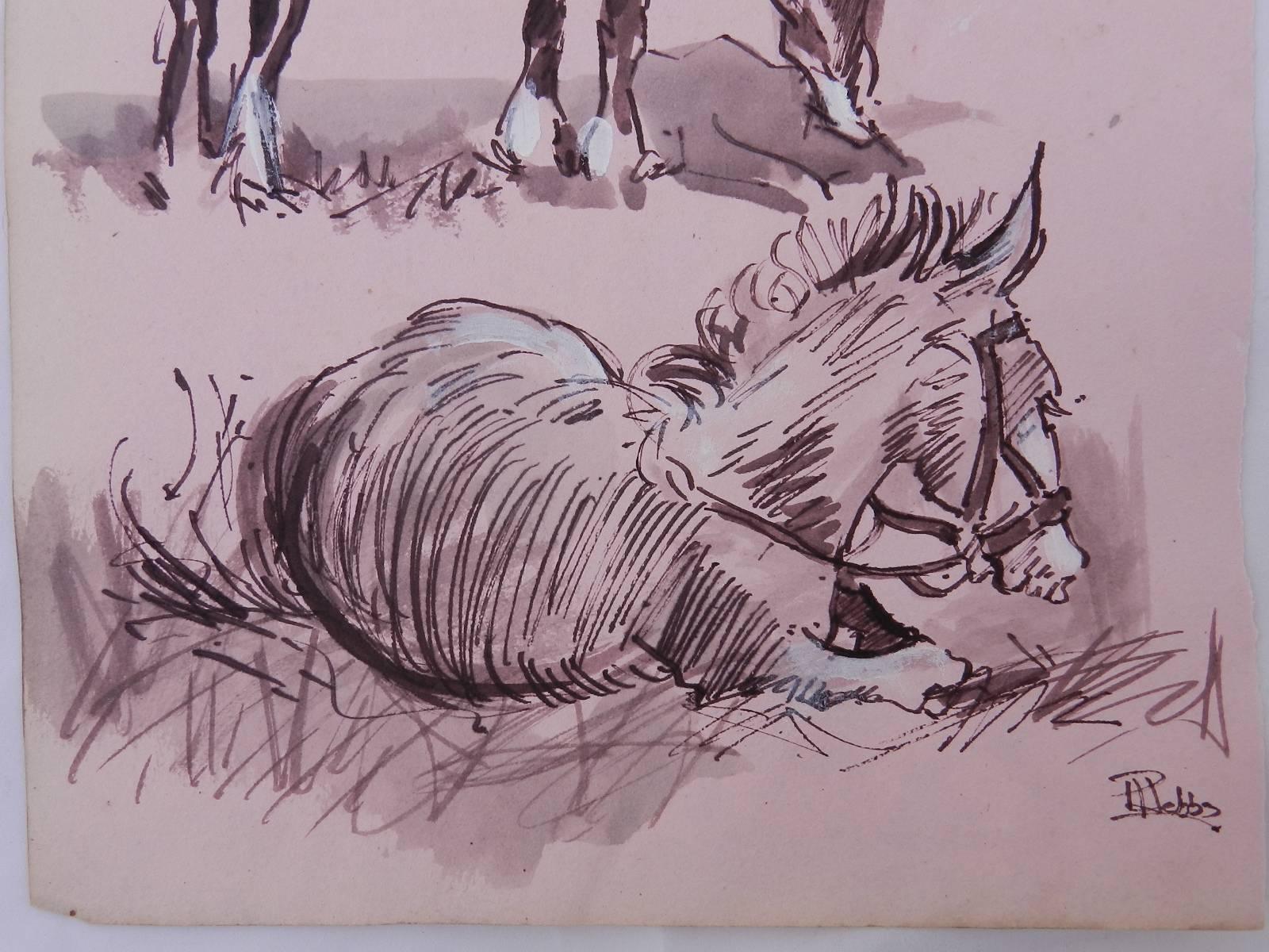 Sketches d'étude de chevaux de Peter Hobbs, 1930-1994, aquarelle couleur sépia  en vente 2