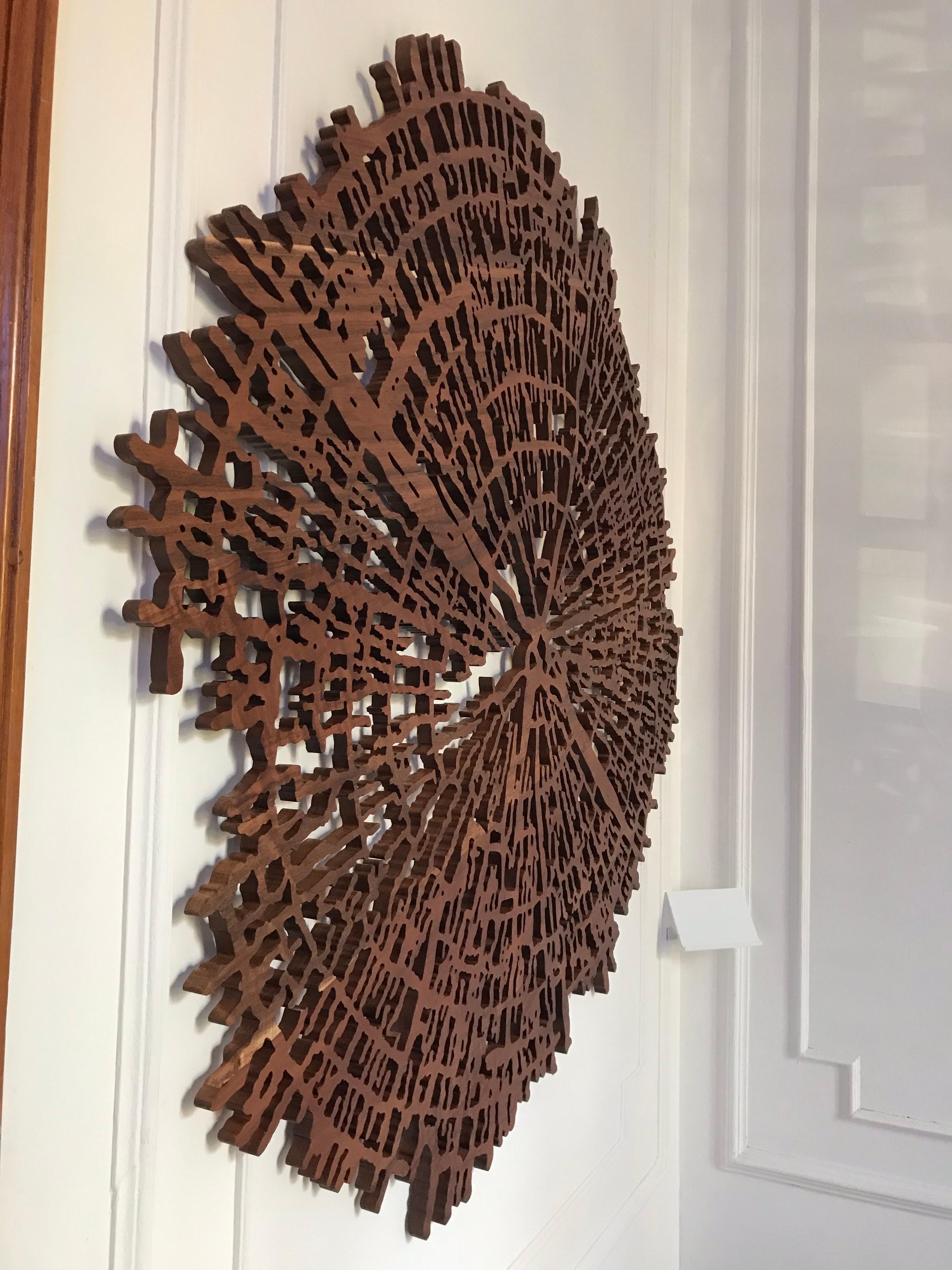 Dendrochronology of Trees in an Abstract Wooden Solid Piece For Sale 5