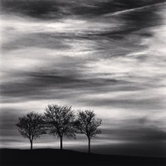 Three Trees at Dusk, Fain Les Moutiers, Bourgogne, France, 2013 - Michael Kenna 