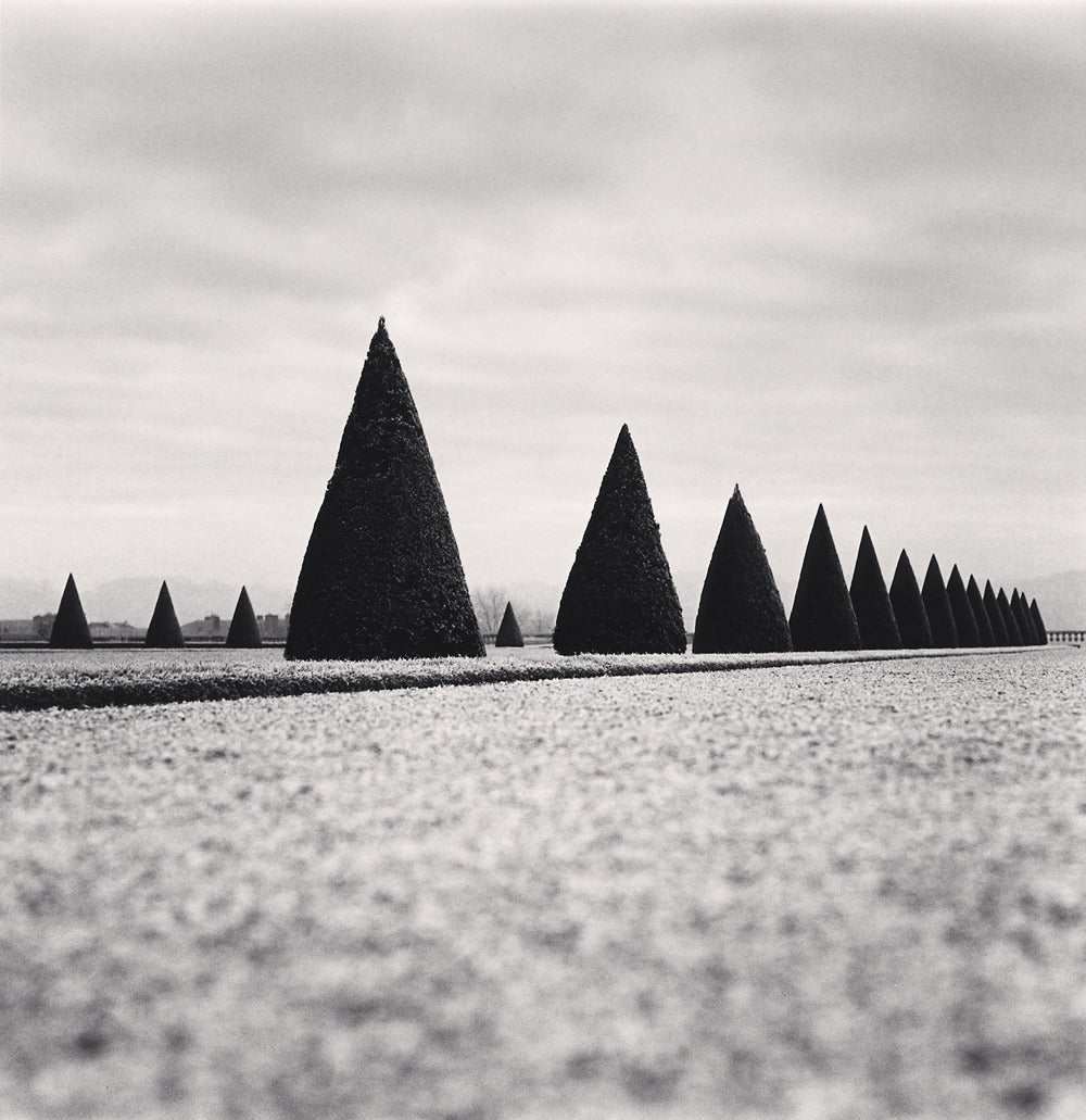 Michael Kenna Black and White Photograph - Eighteen Hedges, Versailles, France, 1998