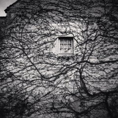 Fenster und Weinreben, Abbaye De Fontenay, Bourgogne, Frankreich, 2013 – Michael Kenna