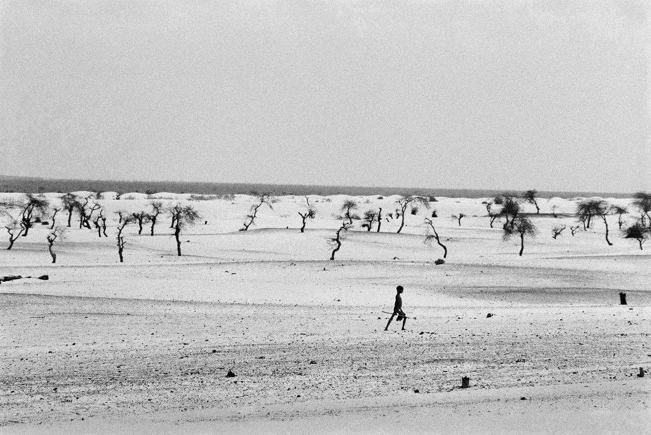 Mali, 1985
Sebastião Salgado
Internationaler Versand verfügbar

Gestempelt mit dem Copyright-Blindstempel des Fotografen
Signiert, rückseitig beschriftet
Silber-Gelatine-Druck

Sebastião Salgado (geb. 1944) ist einer der berühmtesten