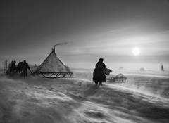 YAMAL PENINSULA, SIBERIA, RUSSIA, 2011