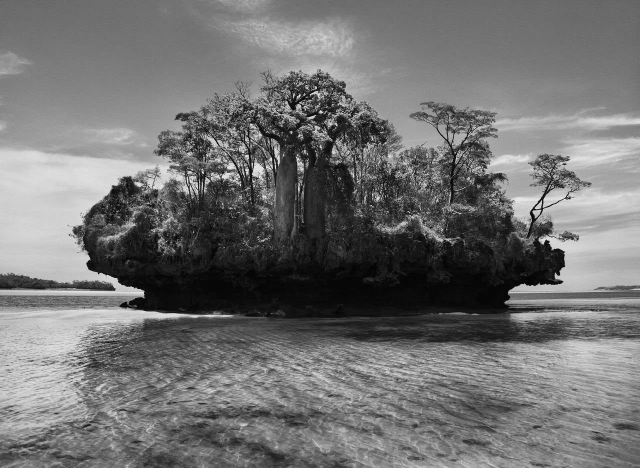 Black and White Photograph Sebastião Salgado - Baobab Trees sur une île de champignons dans la baie de Moramba, Madagascar, 2010