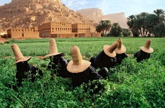 Raccoglitori di trifoglio a Wadi Hadramawt, Yemen, 1999 - Fotografia a colori