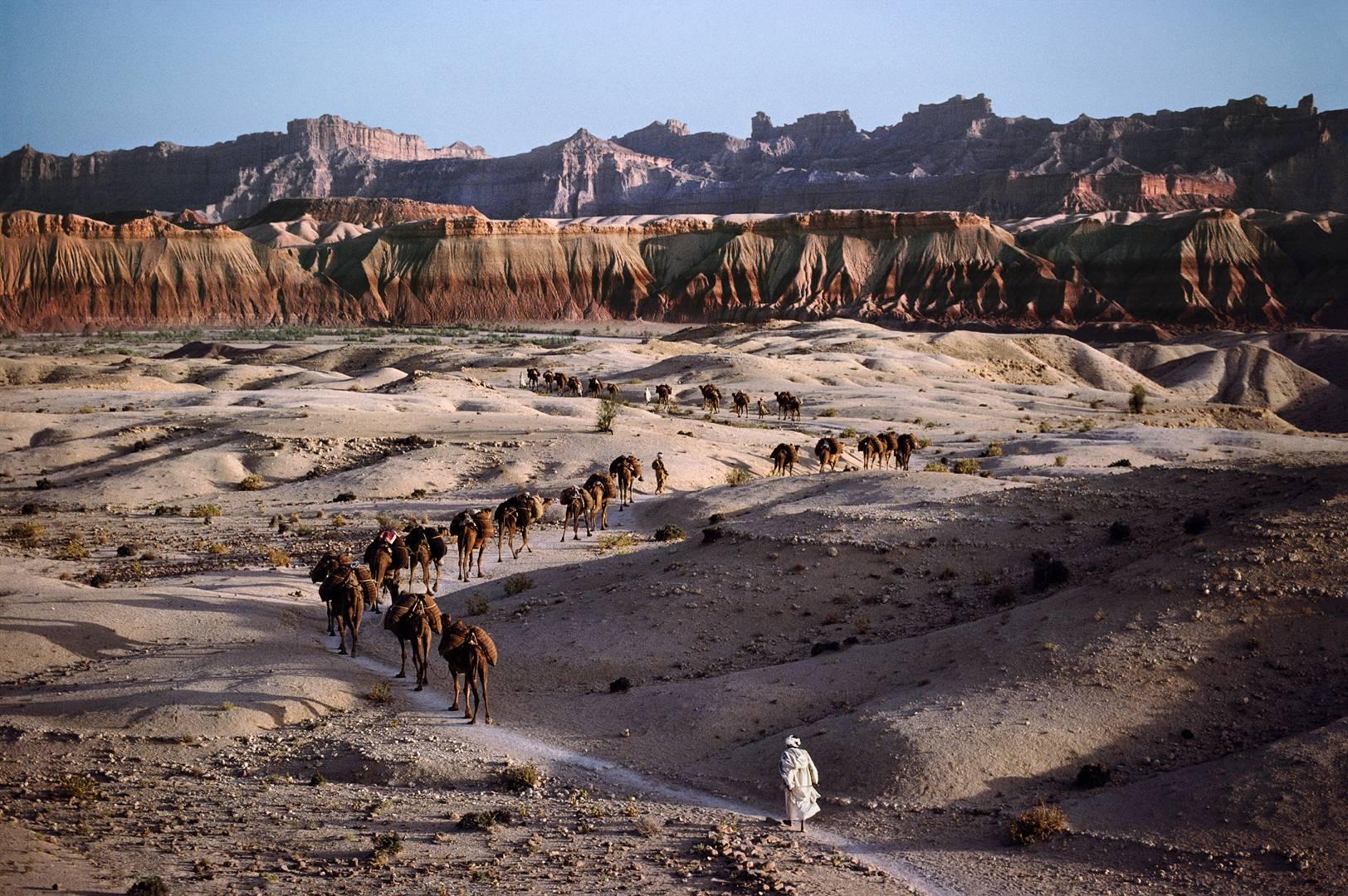 Camel Caravan, Southern Afghanistan, 1980 - Steve McCurry (Colour Landscape)