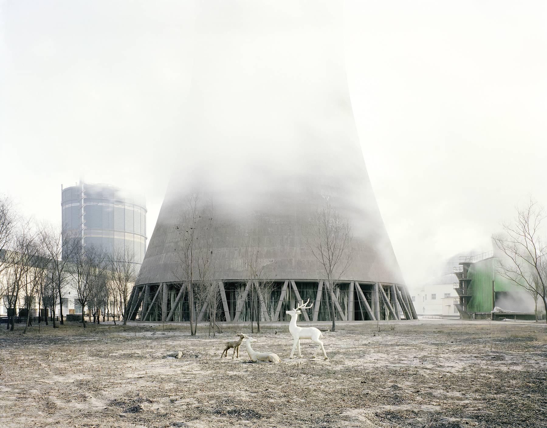 White Deer Under a Cooling Tower, Inner Mongolia - Zhang Kechun (Landscape)
Signed and numbered on artist label on reverse of mount 
Archival pigment print, mounted on aluminium
Available in multiple sizes

29 1/2 x 39 1/4 inches, from an edition of