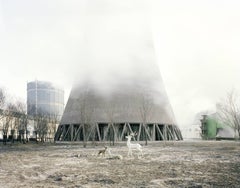 Used White Deer Under a Cooling Tower, Inner Mongolia - Zhang Kechun (Landscape)