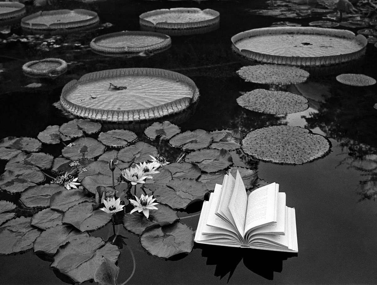 Lecciones De Botánica, Switzerland, 1977 - Flor Garduño (Black and White)
