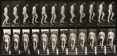 Animal Locomotion: Plate 89 (Nude Man Ascending Staircase), 1887 - Muybridge