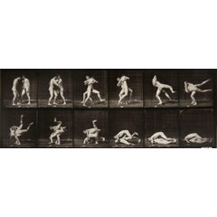 Animal Locomotion: Plate 347 (Nude Men Wrestling), 1887 1