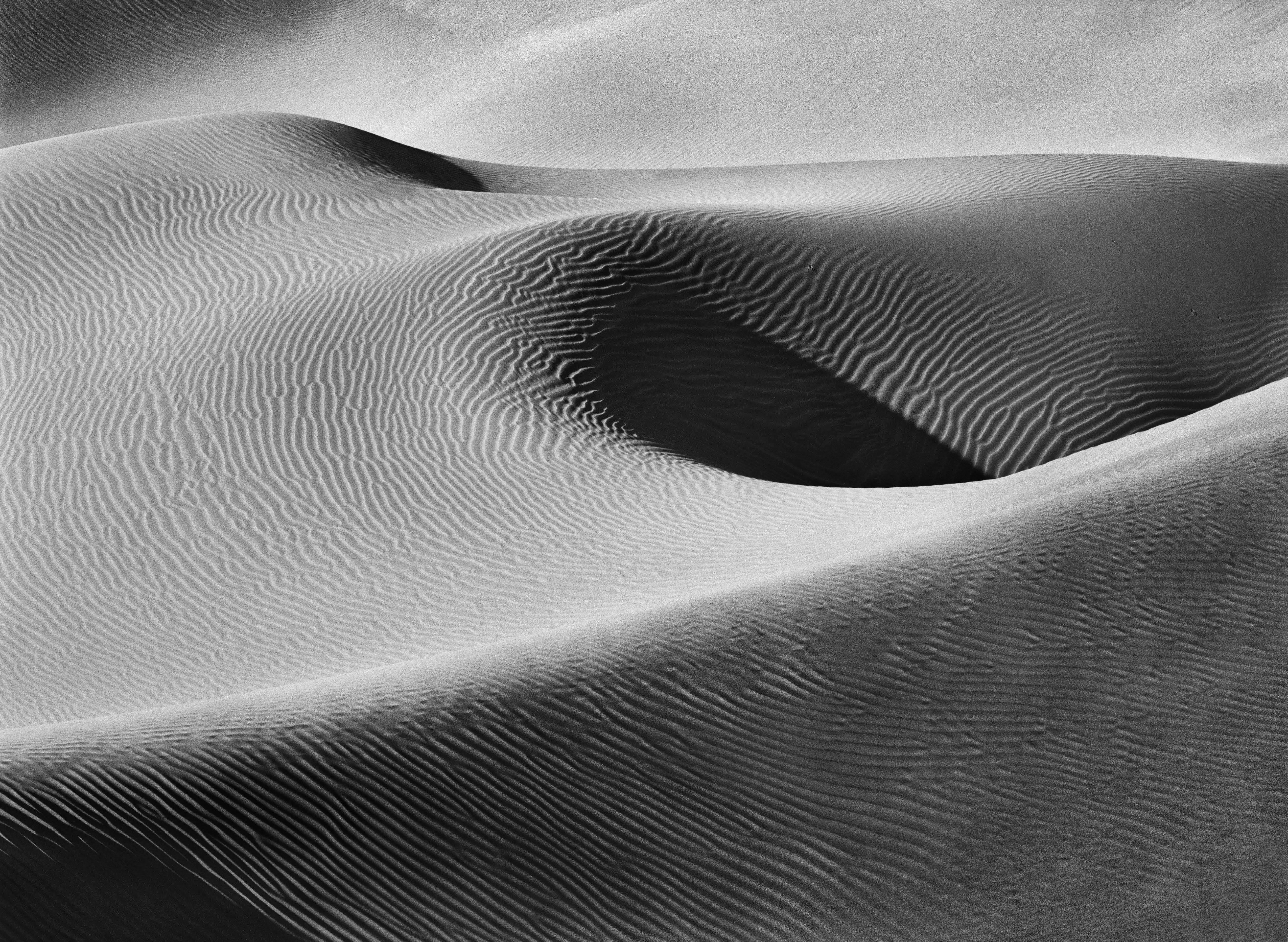 Sanddünen, Namib-Naukluft-Nationalpark, Namibia, 2005
Sebastião Salgado
Gestempelt mit dem Copyright-Blindstempel des Fotografen
Signiert, rückseitig beschriftet
Silber-Gelatine-Druck
16 x 20 Zoll

Auch in sechs weiteren Größen erhältlich, bitte