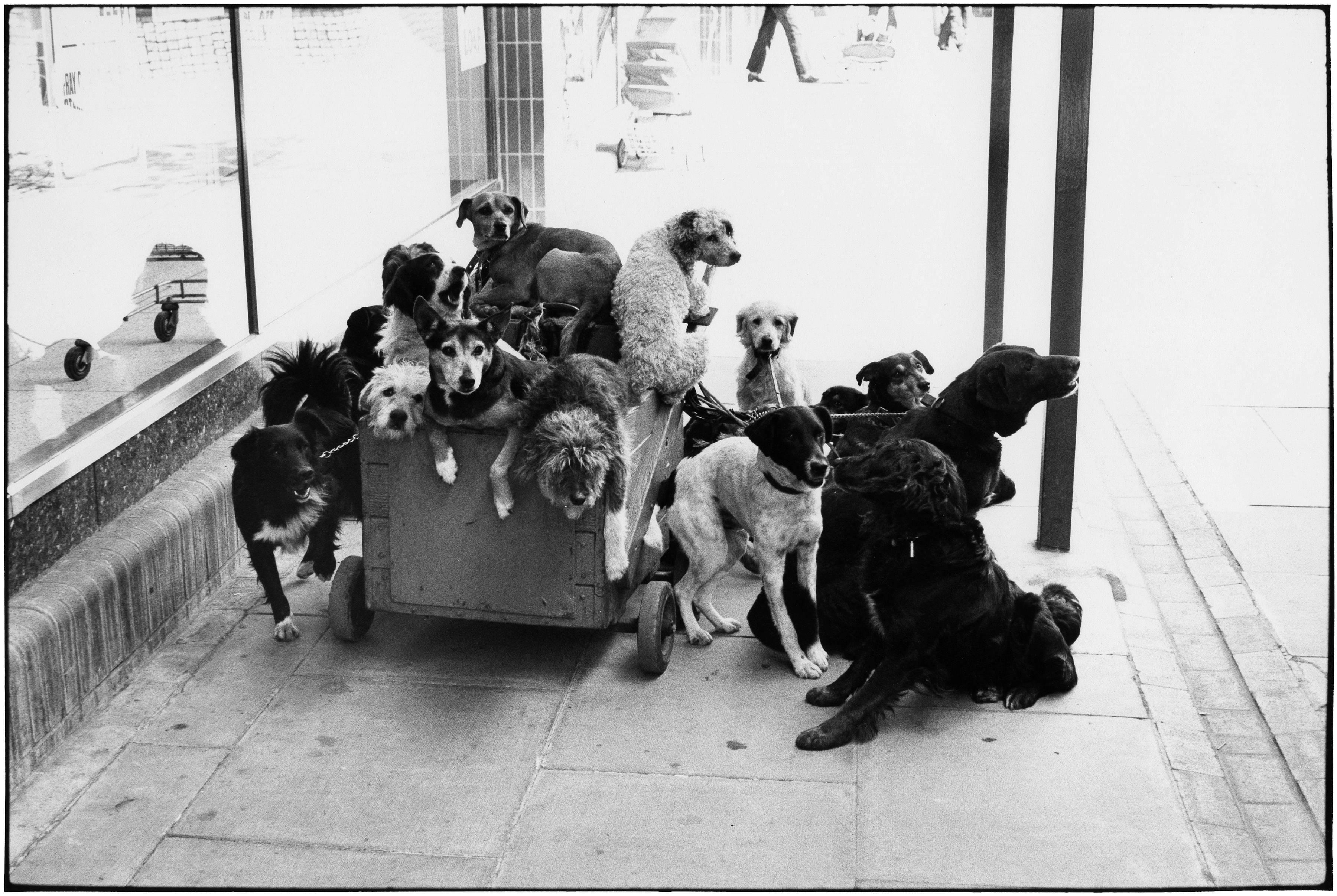 London, England, 1974 - Elliott Erwitt (Black and White Photography)
Signed, inscribed with title and dated on accompanying artist’s label
Silver gelatin print, printed later

Available in four sizes
11 x 14 inches
16 x 20 inches
20 x 24 inches
30 x