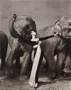 Dovima with Elephants, Evening Dress by Dior, Cirque d’Hiver, Paris
