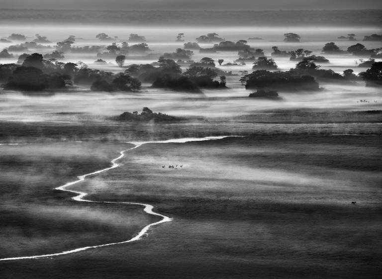 Kafue-Nationalpark, Sambia, 2010
Sebastião Salgado
Gestempelt mit dem Copyright-Blindstempel des Fotografen
Signiert, rückseitig beschriftet
Silber-Gelatine-Druck
16 x 20 Zoll

Sebastião Salgado (geb. 1944) ist einer der berühmtesten