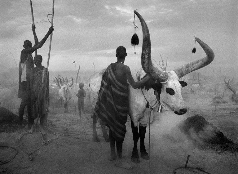 Dinka-Viehlager in Kei, Südsudan, 2006
Sebastião Salgado
Gestempelt mit dem Copyright-Blindstempel des Fotografen
Signiert, rückseitig beschriftet
Silber-Gelatine-Druck
16 x 20 Zoll

Sebastião Salgado (geb. 1944) ist einer der berühmtesten