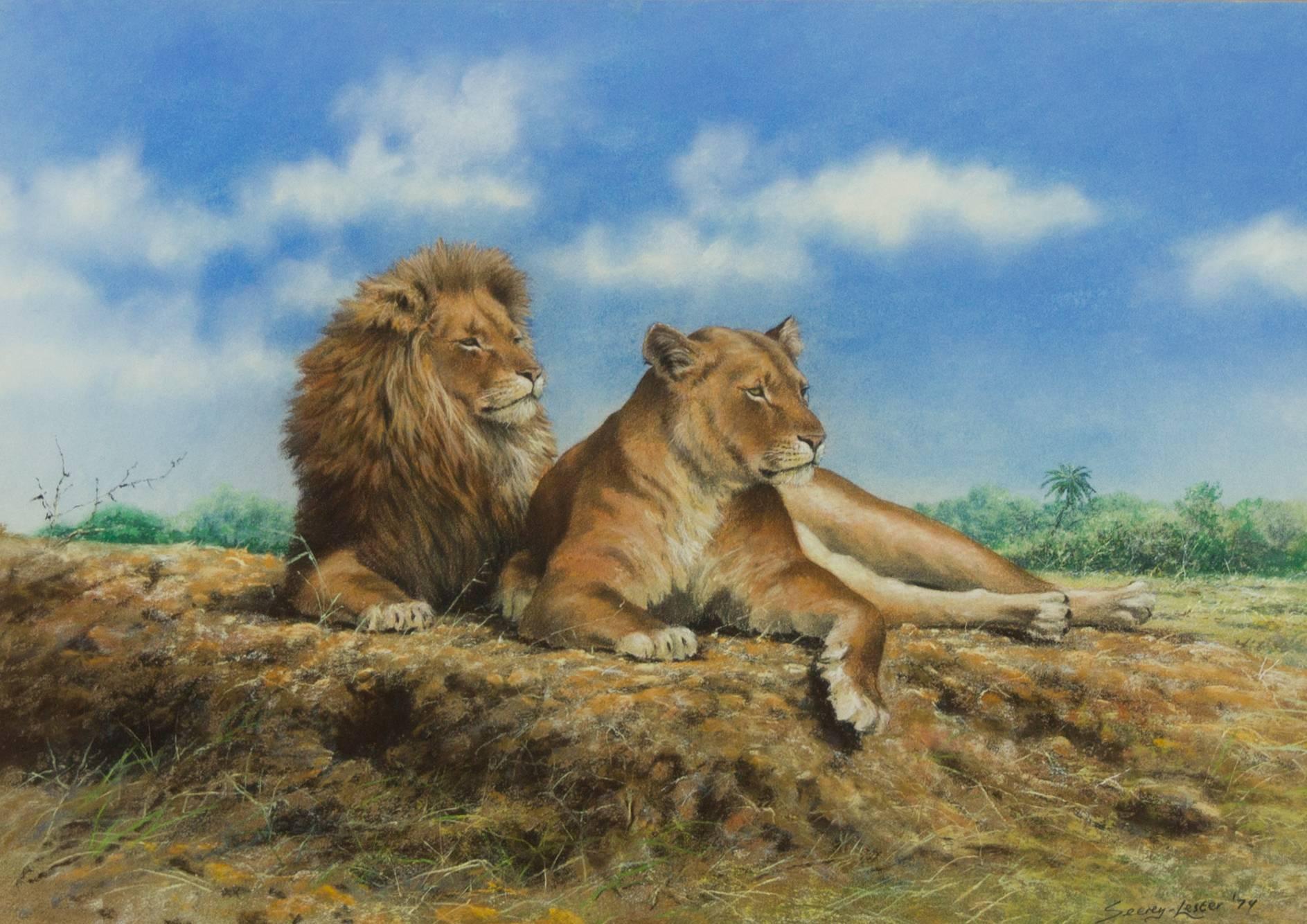 John Seerey-Lester (b.1945) - Signed & Framed British 1979 Pastel, Lions 3