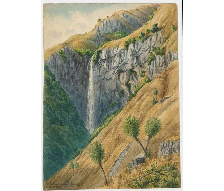 william wilson nz