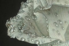 Gioacchino Passini "Fragili Attimi" Oil on Canvas Contemporary Art Painting