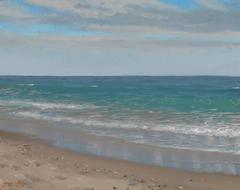 Afternoon Surf, Fire Island